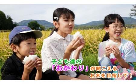 【 令和7年産 】 ゆめぴりか ・ ななつぼし 食べ比べセット 各10kg × 1袋 合計20kg （ 無洗米 ・ 紙袋 ） お米 米 コメ こめ 白米 ご飯 おにぎり 国産 北海道産 食べ比べ セット