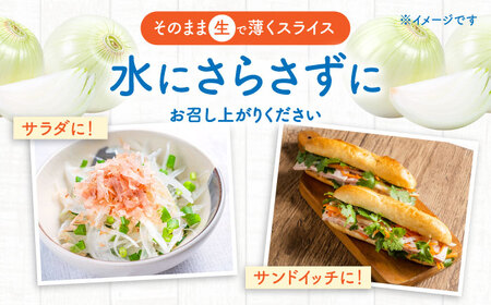 【2027年3月-発送】たまねぎ 5kg / タマネギ 玉葱 玉ねぎ 野菜 やさい カレー シチュー バーベキュー スープ サラダ / 南島原市 / 城谷農園[SGV001]