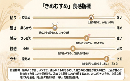 【期間限定寄附額】最高評価「特A」令和7年産 岡山県産米　「きぬむすめ」 10kg(5kg×2袋)　＜5月発送＞