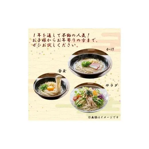 細うどん　生麺400ｇ（3人前）×8袋