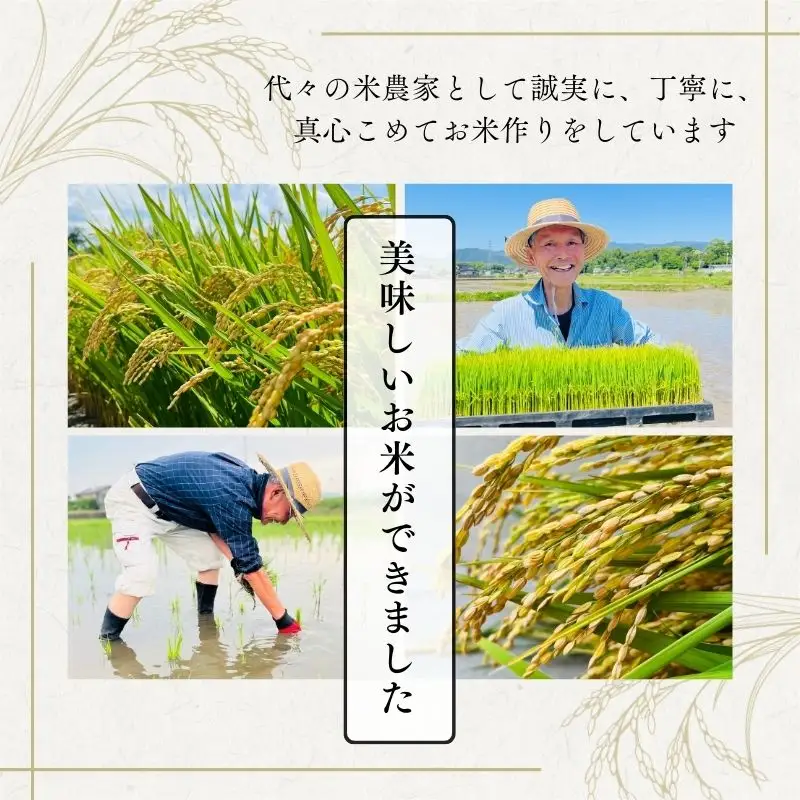 【令和7年産】福岡県飯塚市産 夢つくし 5kg(精米)【A9-024】