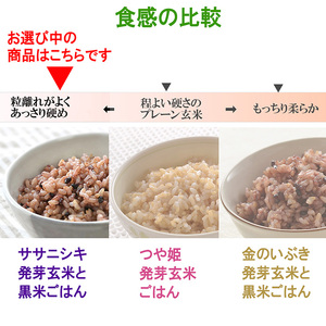 ＜3ヶ月定期便＞発芽玄米パックご飯 計48パック(16パック×3回) ササニシキ発芽玄米 黒米 発芽玄米 レンジ 有機栽培 パックご飯 パックごはん ご飯パック ごはんパック ご飯 米 レンチン 頒布会 【有機農園ファーミン株式会社】tm579