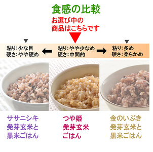 ＜3ヶ月定期便＞発芽玄米パックご飯 計48パック(16パック×3回) つや姫発芽玄米 発芽玄米 レンジ 有機栽培 パックご飯 パックごはん ご飯パック ごはんパック パックライス ご飯 米 レンチン 頒布会 【有機農園ファーミン株式会社】tm580