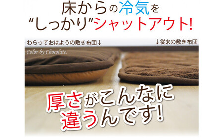 リバーシブル無地カラー・こたつ敷き布団【長方形大判：190×240cm】（KSI009）  お色：ダークグリーン/ライトグリーン