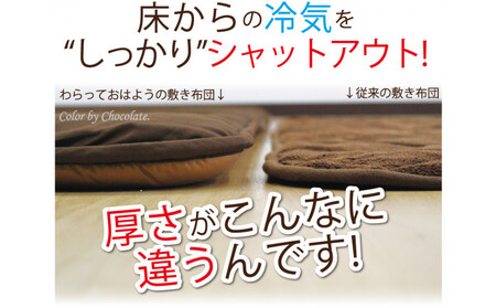 リバーシブル無地カラー・こたつ敷き布団【長方形超特大判：190×290cm】（KSI011）  お色：チョコ/モカ