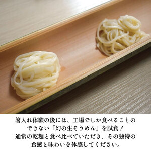 半田そうめん 工場見学 大人1名・小人1名様 チケット 