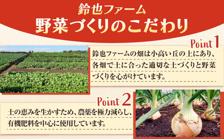 【先行予約】【全2回定期便】冬の汎用野菜セット（5〜6品目）冬（12月〜1月）【鈴也ファーム】[AKCE027]