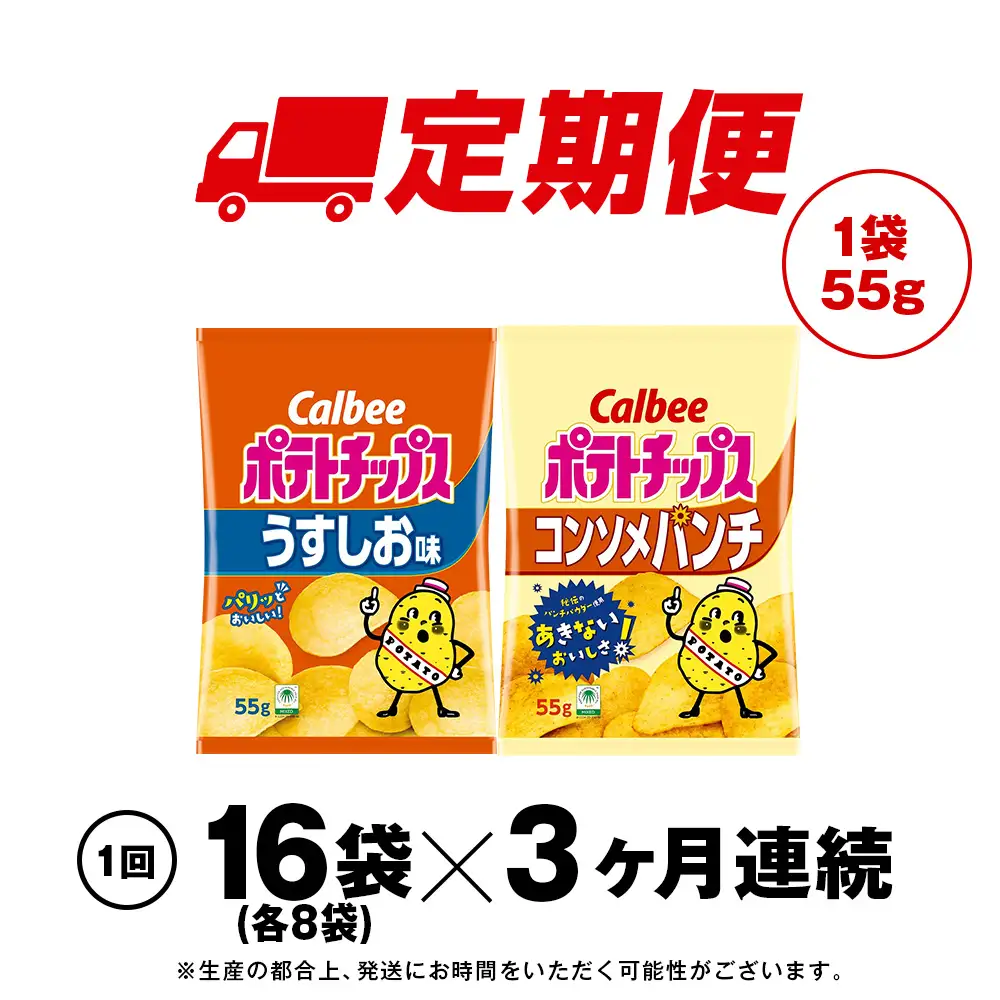 【定期便3カ月】カルビーポテトチップス 2種セット うすしお・コンソメパンチ 各8袋 《千歳工場製造》