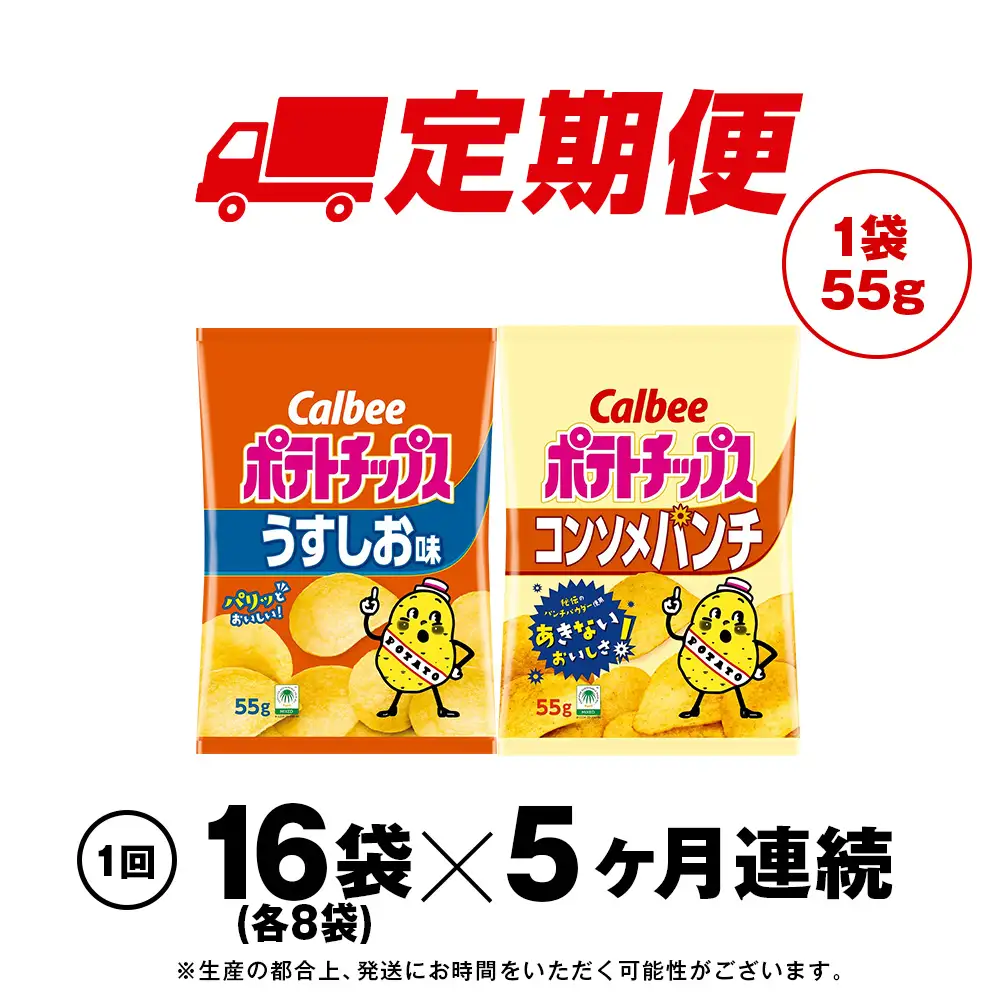 【定期便5カ月】カルビーポテトチップス 2種セット うすしお・コンソメパンチ 各8袋 《千歳工場製造》