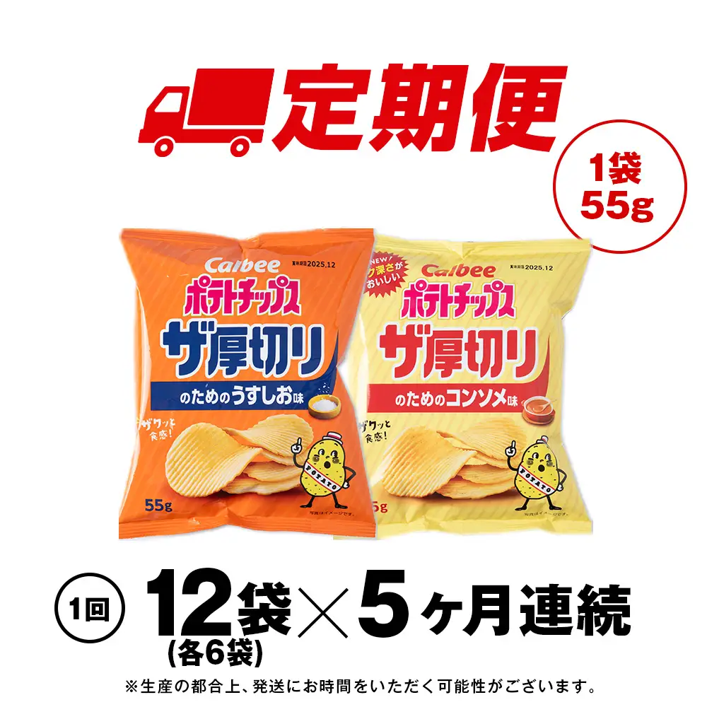 【定期便5カ月】ザ厚切りのための ２種セット うすしお・コンソメ 各6袋 カルビー ポテトチップス 《千歳工場製造》