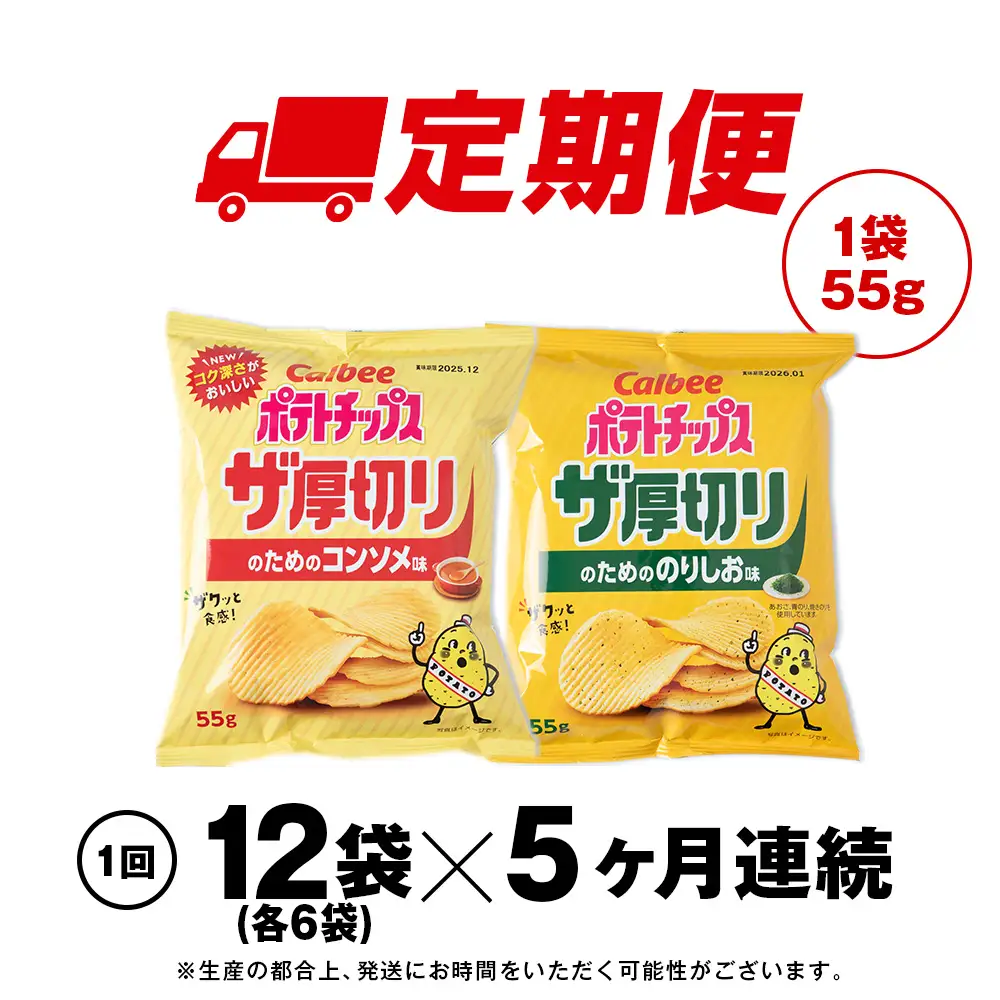 【定期便5カ月】ザ厚切りのための ２種セット コンソメ・のりしお 各6袋 カルビー ポテトチップス 《千歳工場製造》