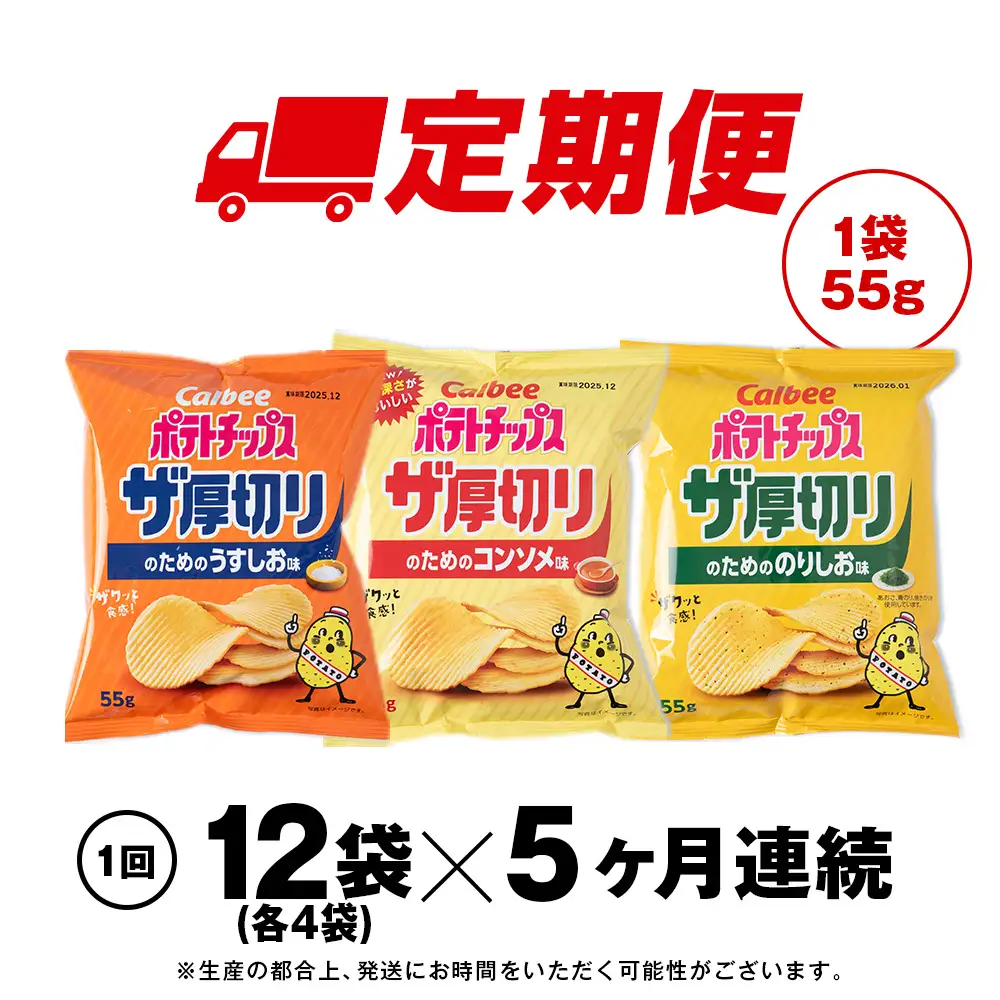 【定期便5カ月】ザ厚切りのための ３種セット うすしお・コンソメ・のりしお 各4袋 カルビー ポテトチップス 《千歳工場製造》