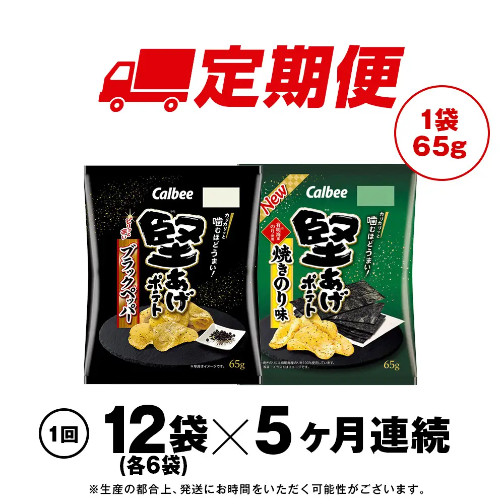 【定期便5カ月】堅あげポテト 2種セットA ＜ブラックペッパー・焼きのり＞ 各6袋  カルビー ポテトチップス 《千歳工場製造》
