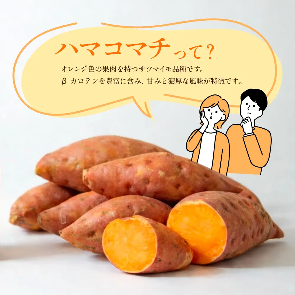 【本格芋焼酎】吹上焼酎 はまこ長期貯蔵（1.8L×1本）一升瓶 本格焼酎 いも焼酎 芋焼酎 はまこ はまこまち お湯割り ロック 水割り ソーダ割り こだわり 匠の技 おすすめ 人気 25度 家飲み 宅飲み 飲み比べ 吹上焼酎 南さつま市