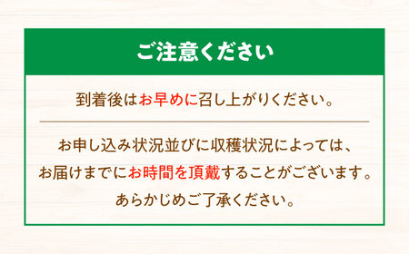 ぶどう【先行予約】【2026年8月中旬から順次発送】ニューベリーA　4-5房入　2.0kg 愛媛県大洲市/株式会社フジ・アグリフーズ[AGBA024]