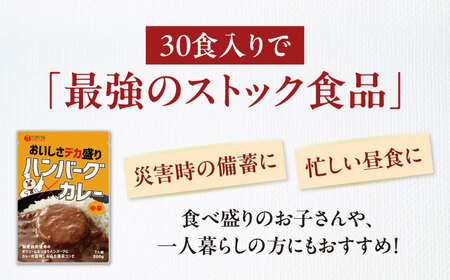 【カレー】ハンバーグカレーセット 30食入り[AGDT035]