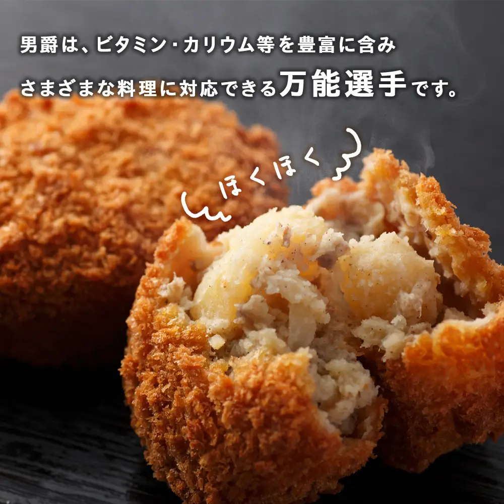【2026年秋発送 先行予約】じゃがいも 馬鈴薯（男爵）Ｌサイズ　5kｇ＜JAようてい＞