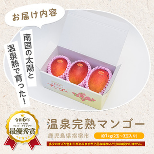 2026年発送 訳あり 鹿児島県 指宿 産 温泉 完熟 マンゴー 約1kg T&P IB057-001 マンゴー マンゴー