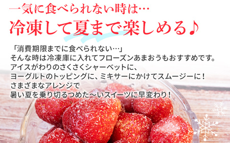 あまおう 約270g×4P 計1080g 【7営業日以内発送】あまおう
