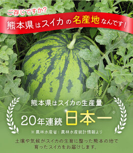小玉スイカ 3L以上 2玉 計約3kg 株式会社エフビーネット《5月上旬-7月中旬頃出荷》熊本県 菊池市 小玉すいか すいか スイカ 西瓜 果物 フルーツ