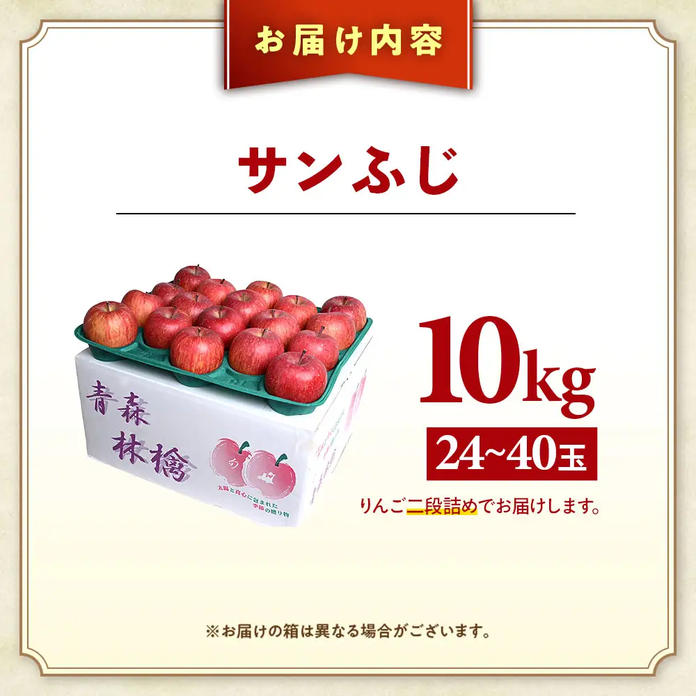 大容量 青森県産りんご 11月下旬～ サンふじ 10kg りんご