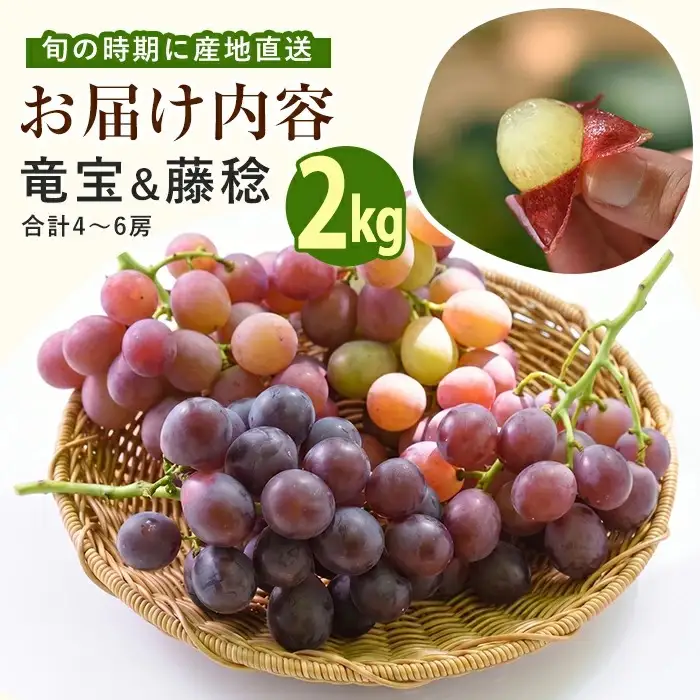 2026年7月上旬～発送 ぶどう 竜宝・藤稔の2種 約2kg 迫田果樹園 IB064-008 ぶどう ぶどう