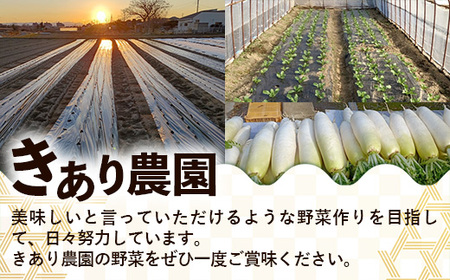 【きあり農園】2026年度 幸手市産 かぼちゃ 約10kg - カボチャ 南瓜 くり大将 くり将軍 産地直送