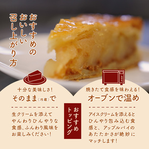 紅玉アップルパイ(15cm) [h054]