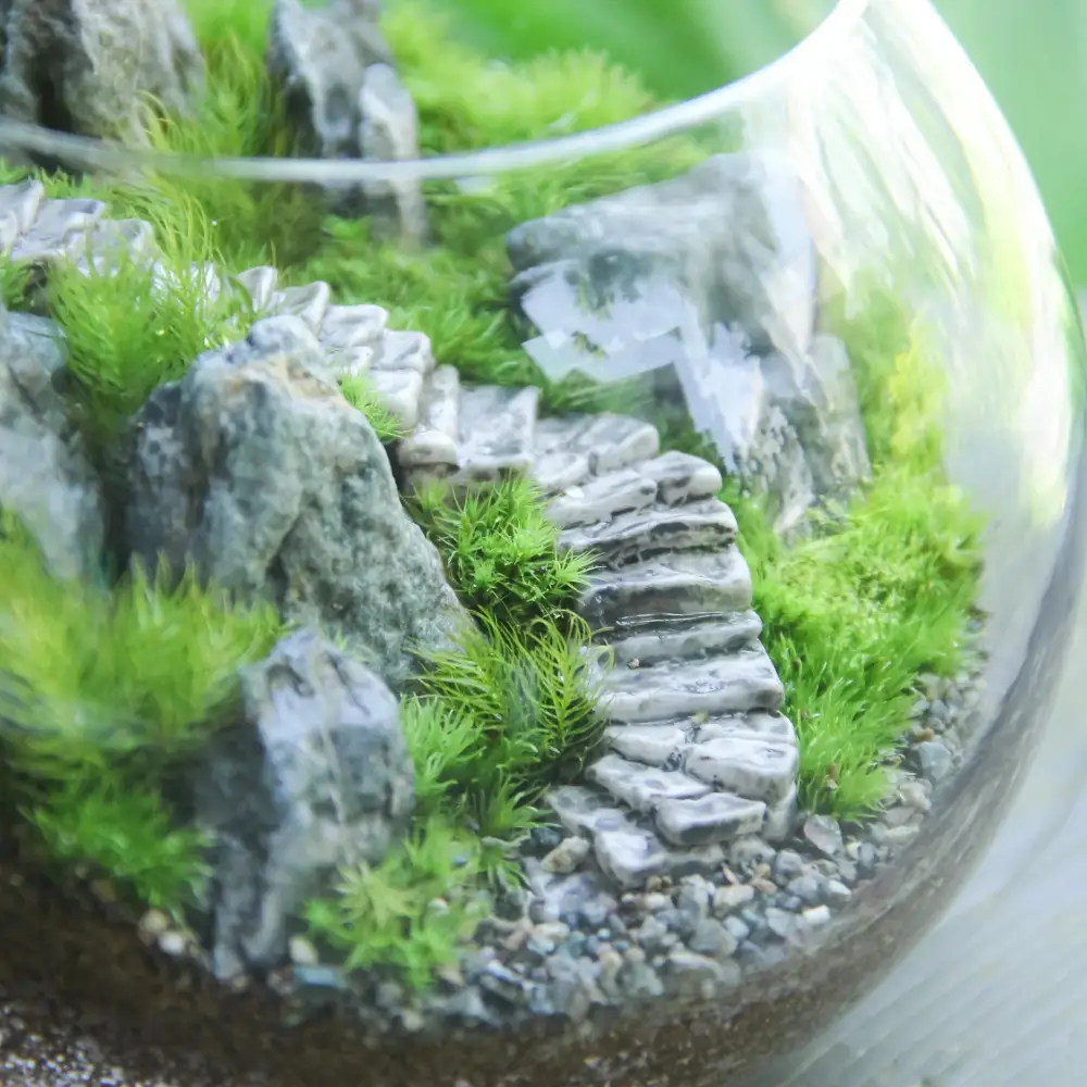 《苔テラリウム・コケリウム》階段の風景 ボウルLL