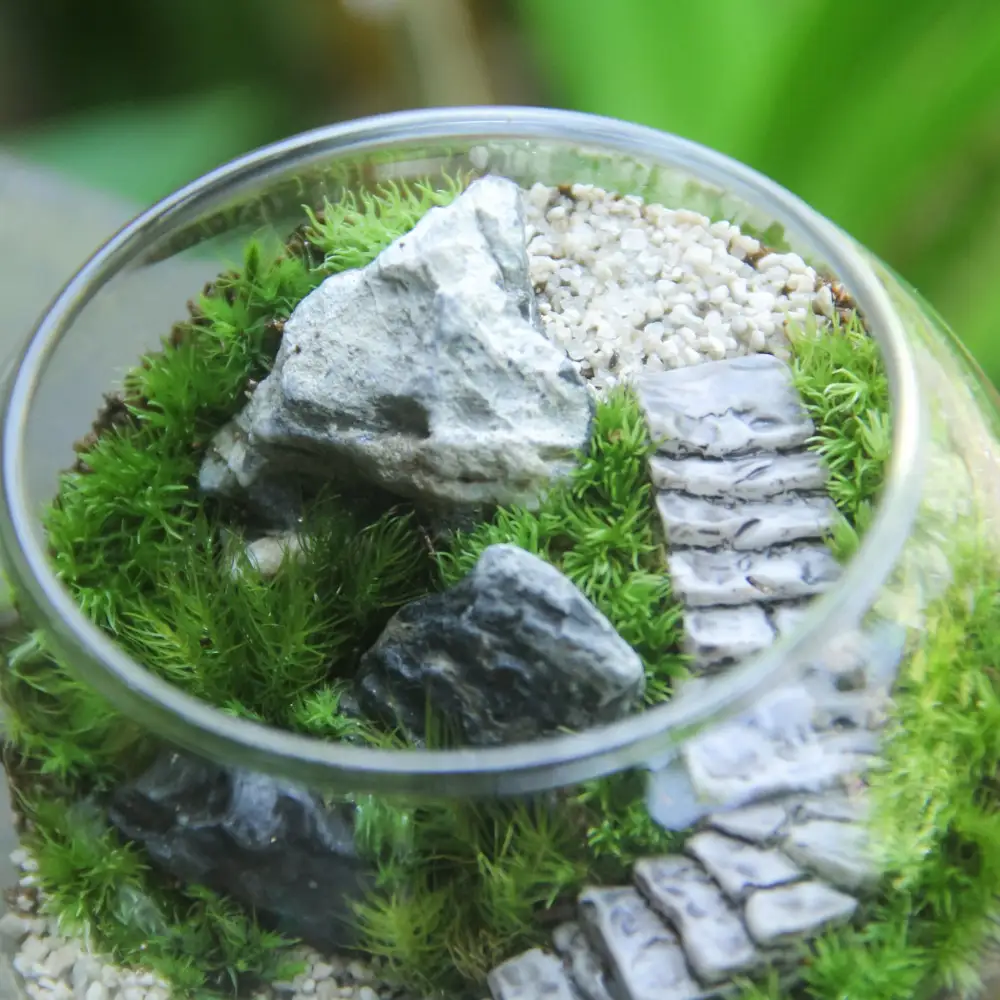 《苔テラリウム・コケリウム》階段の風景 ボウルL