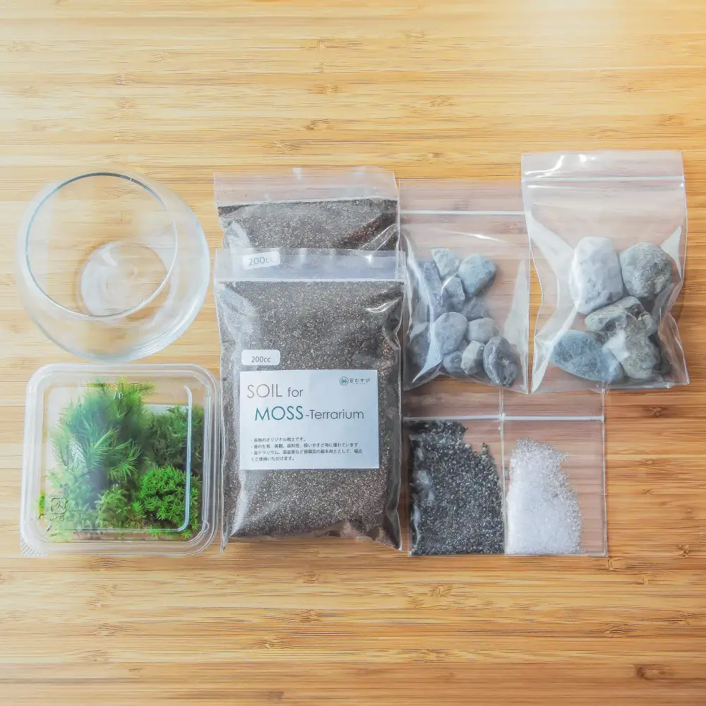 【渓流編】苔テラリウム制作キット（ツール付き）