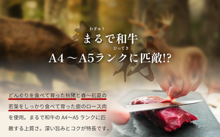 ジビエハンバーグ耶馬の恵 8個セット | お肉 肉 鹿肉 猪肉 ジビエ ジビエハンバーグ ハンバーグ おかず 冷凍 冷凍食品 惣菜 お惣菜 大分県 中津市