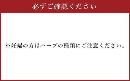 【 サリューフォーウォーム 】 山梨のっぷい産ご褒美ハーブティー ティーバッグ 3包 ハーブティー ハーブ お茶 国産 山梨県産 ティーバッグ
