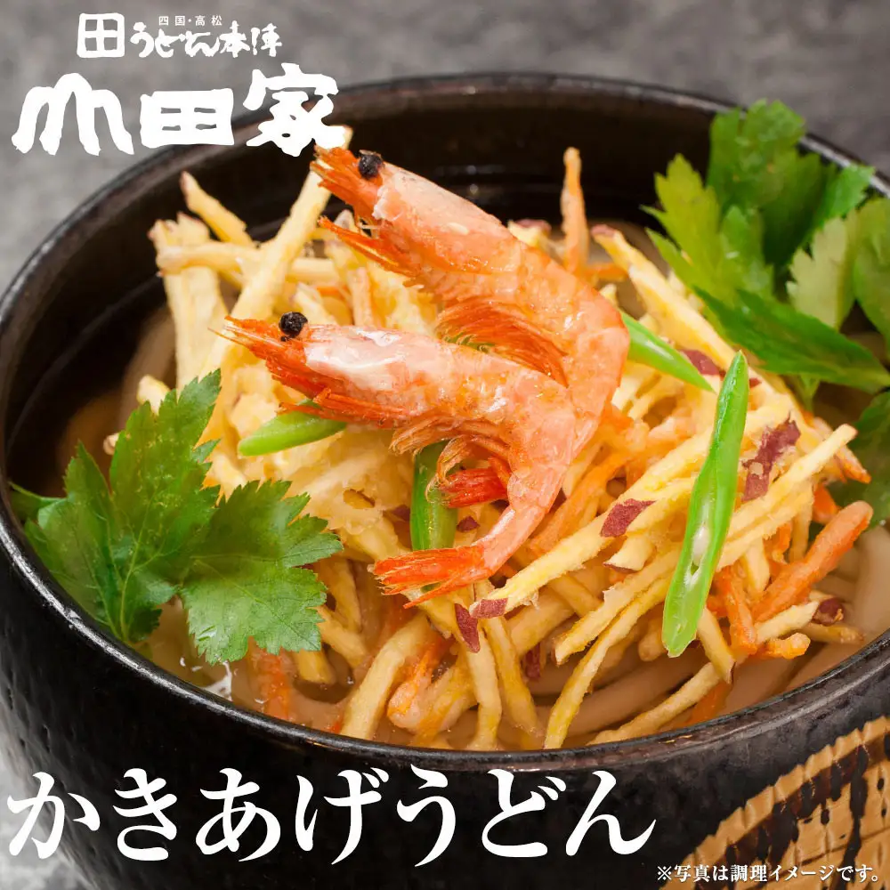 うどん本陣山田家心温まる讃岐の味セット～冷凍讃岐うどん　えび天・きつね・かき揚げセット/10人前（高松市）