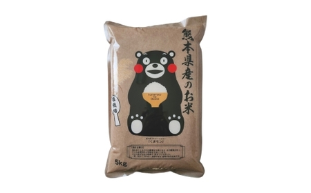 【 令和7年度産 】 熊本県産塩栽培米くまさんの輝き 5kg 国産 熊本県産 お米 米 コメ ご飯 白米 くまさんの輝き 塩栽培米 塩栽培 【 2025年12月上旬発送開始 】