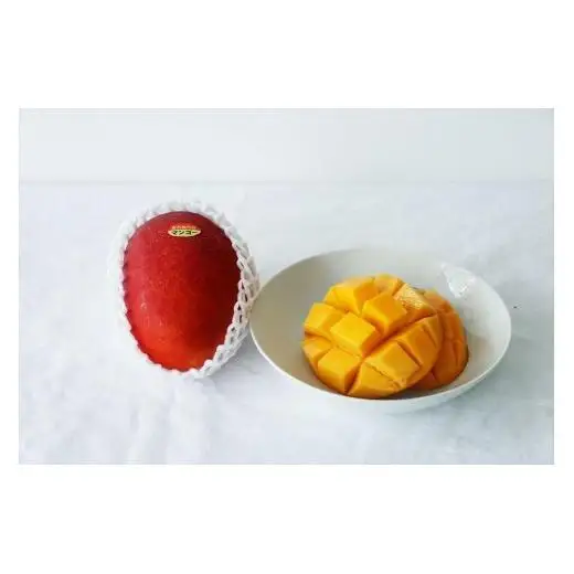《先行予約》沖縄県宮古島産 減農薬栽培マンゴー 2kg【最良品】｜贈答用・糖度15度以上！｜琉球マルシェ