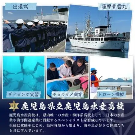 【毎月定期便】水産高校生考案 枕崎かつおラーメン 24袋×2人前 スープ付 DD0-0030全2回【配送不可地域：離島】【4083674】