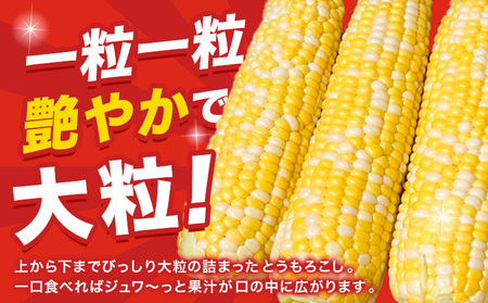 【先行予約】朝採り とうもろこし ビーナスコーン スイートコーン 20本 《2026年8月上旬-8月末頃出荷予定》山下農場 バイカラー 大粒 コーン トウモロコシ 送料無料 北海道 本別町北海道 十勝 本別町産 冷蔵便 甘い