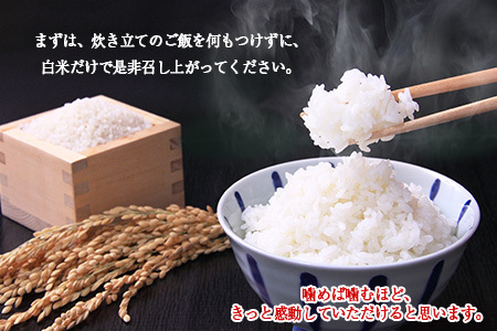 減農薬栽培 ひとめぼれ玄米10kg【2425】