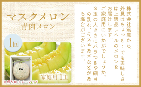 【４回定期便】メロン堪能定期便【高知県産マスクメロン】 全4回 果物 フルーツ メロン めろん 定期便 定期便 Wtn-0054