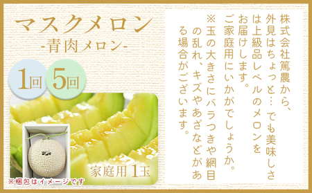 【８回定期便】マスクメロン堪能定期便 【高知県産マスクメロン】 全8回 果物 フルーツ メロン めろん 定期便 定期便 Wtn-0055