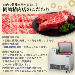 近江牛 切り落とし 2.4kg  200g×12パック 近江日野牛