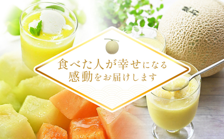 【12回定期便】マスクメロン堪能定期便【高知県産マスクメロン】 全12回 果物・フルーツ メロン めろん 定期便 定期便 Wtn-0056