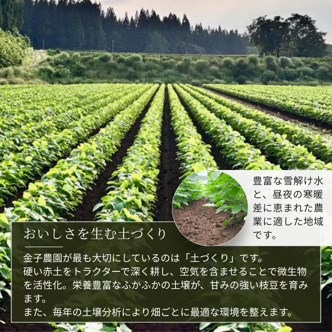 【先行予約】枝豆 新潟茶豆 1.5kg（250g×6袋）| 津南町