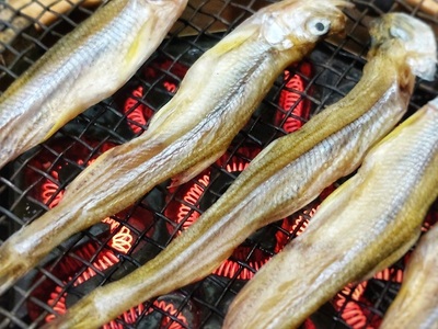 本乾ししゃも60g【本ししゃも　シシャモ　冷蔵　魚　海産物　珍味　魚介類　簡単　無添加　北海道　国産　ふるさと納税】(C0031)