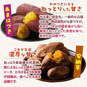 ＜先行予約受付中！2026年10月から順次発送予定＞おやつ芋 あまはづき 安納芋 冷凍 焼き芋 (計12個・3個入り×各2袋) 焼芋 やきいも さつまいも さつま芋 レンジ あまはづき 安納芋 小分け おやつ 【YO-27】【株式会社陽】
