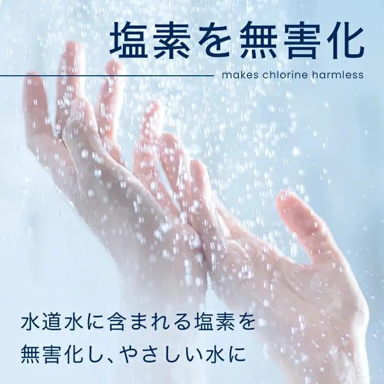 イオナック シャワーヘッド（カートリッジ付）【ionc0001A】