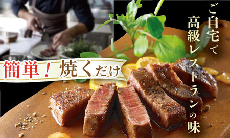 【定期便】佐賀牛 ヒレ ステーキ 540ｇ（180ｇ×3）（全6回／連続月お届け） 冷凍 赤身 国産 お肉 ブランド牛 牛肉 ステーキ フィレ 希少部位 贅沢  Q342-001
