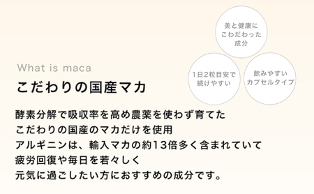 【定期便12ヶ月】tierra5 (1個) 1セット×12回 【素材の力を、丁寧に届ける】 マカサプリ 国産マカ 酵素分解マカ 植物由来成分 カプセルサプリ 日本製サプリ 女性向け モリンガ ハトムギ 山葡萄種子 エルゴチオネイン 栄養補助食品