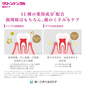 クリーンデンタル 美白ケア 100g 3本セット | 歯磨き粉 歯磨き ハミガキ デンタルケア フッ素 虫歯予防 口臭予防 歯周病予防 日本製